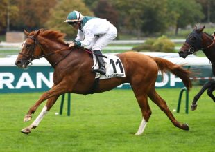 Kedden galoppal folytatódik a Kincsem+