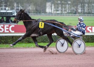 Homard Land a közelmúltban két győzelmet aratott itt és egyéni rekordot ügetett, folytathatja remek sorozatát