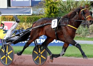 Jacomo Bello téli eredményei beszédesek