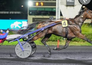 Je Te Cherche kihasználhatja kedvező beállítását a Grand National du Trot soron következő állomásán
