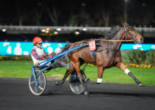 Laroze du Gers ebben az erős nemzetközi társaságban is favorit