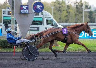 Mystery Queen a főszereplők egyike lehet, ha azt a teljesítményt nyújtja, amit február elején láttunk tőle