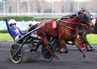 Rikita Jp a PMU előzetes szorzóinak fényében első sansz