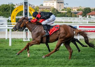 Az Aperianov Zakariás Emlékverseny-Imperiál Díj győztese, Star Rock a csütörtöki Kincsem+ futamban