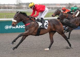 Zelzari papíron jó sansz