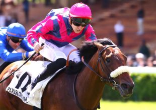 Ziggy Star a márciusi negyedik helyezése alapján komoly figyelmet érdemel