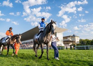 400 millió forint jackpot a vasárnapi Kincsem+ játékon!