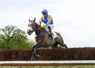 Blekolina a győzelmet is megszerezheti, ha megint azt hozza, amit február közepén produkált