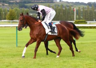 Prince des Villes vagy Dalakir?