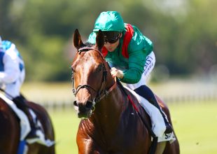 40 millió Ft jackot Hely fogadásra!