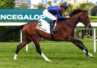 Half Half legutóbb a fronthoz közel végzett, formában van és ismét dobogóra állhat ebben az osztályban