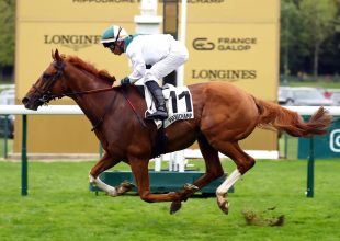 Haviassor jó eséllyel pályázik a győzelemre