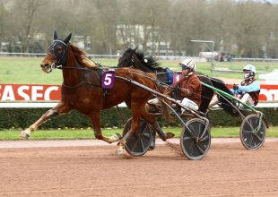 Lyon-Parilly pályáján futják a szerdai Kincsem+-t!