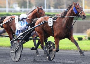 Szombaton 15:15-kor indul a Kincsem+!