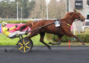 Kincsem+ szakértői tippek szombatra: favoritok és esélyek Vincennes-ben