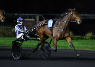 Jingle du Pont kicsit pihent a sikeres téli szezon után, könnyebb munkákkal fenntartotta kondícióját