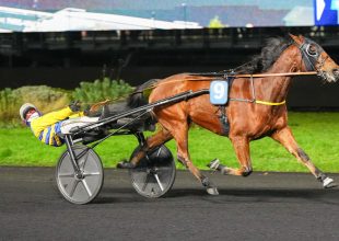 Jipet de Crepin két versenyt nyert már az idei esztendőben, s a triplázásra is jó esélye mutatkozik