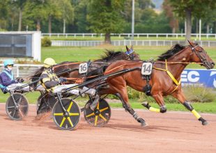 Cordemais – ügető – szerda – 13:55