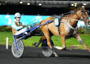 Katchi Quick-et favorizálják a francia szaklapok