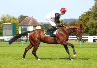 400 millió forint jackpot a vasárnapi Kincsem+ játékon!