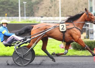 Szombaton 15:15-kor indul a Kincsem+ futam!