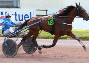 Pénteken 20:15-kor indul a Kincsem+!