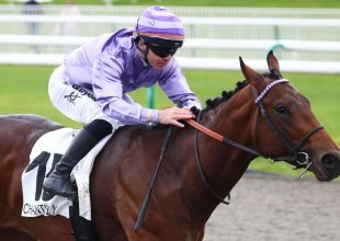 Longchamp – galopp – vasárnap – 15:15