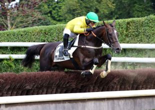 Titi de Paris megbízhatóan teljesít, minden adott ahhoz, hogy főszerepet játsszon