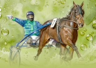 Ügető koccintás - Agár kapunyitó akció