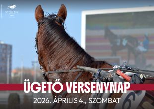 Kiskarcsi Díj a szombati ügetőn