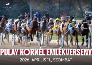 Pulay Kornél Emlékverseny a szombati ügetőn