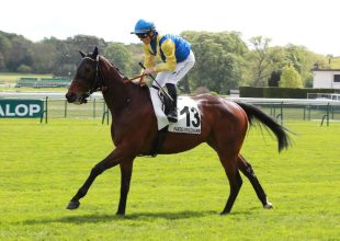 Zelman idén stabilan szerepel, komoly ambíciói lehetnek