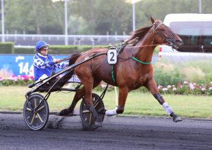 Indian Pacific a mezőny egyik klasszisa, minden adott hozzá, hogy javítsa galoppjait