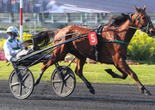 Grand National du Trot a szerdai Kincsem+ futam