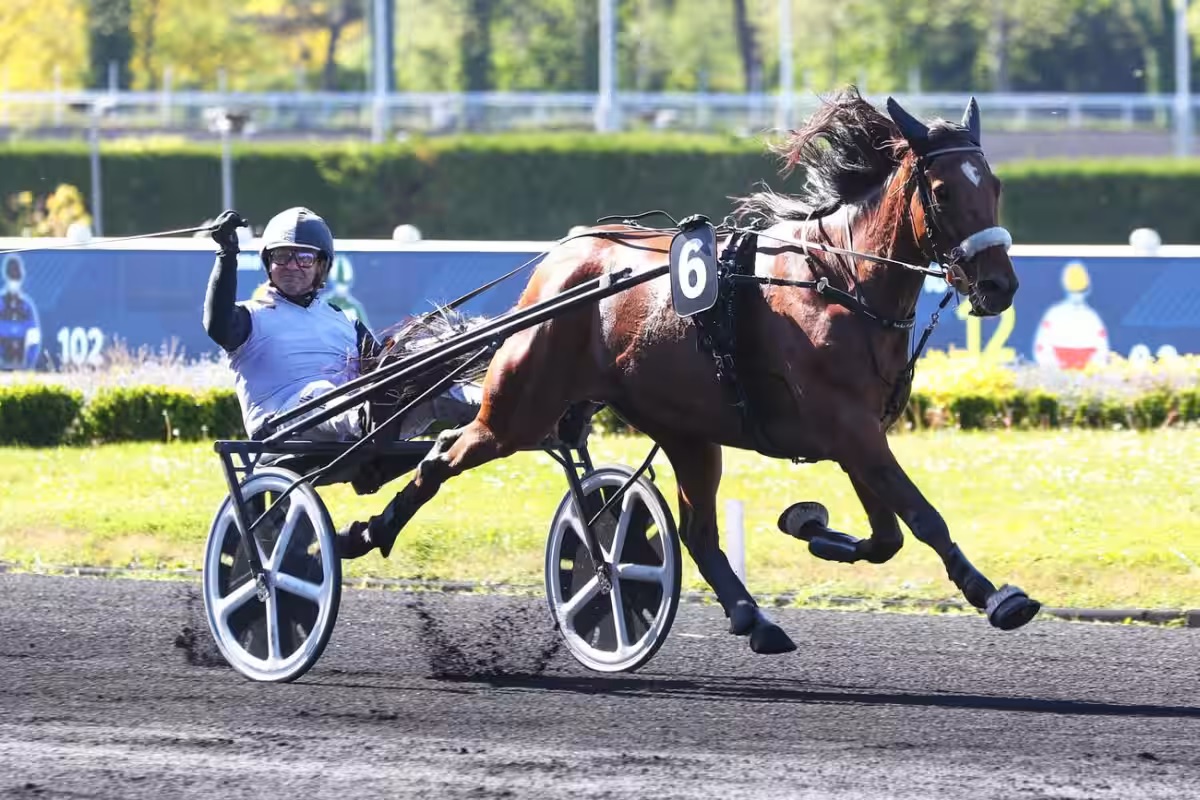 Max Occagnes