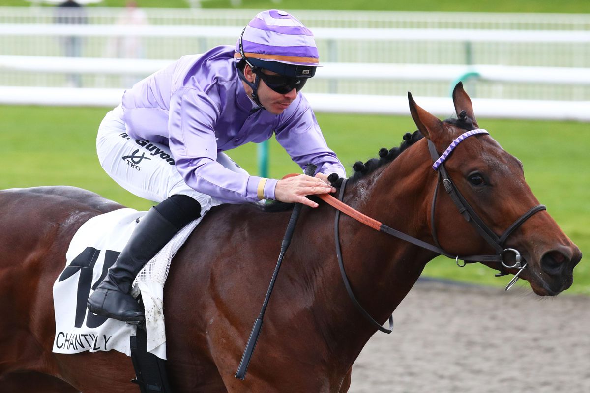Saint Saens