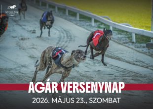 3 SZAKÁGAS VERSENYHÉTVÉGE A KINCSEM PARKBAN!