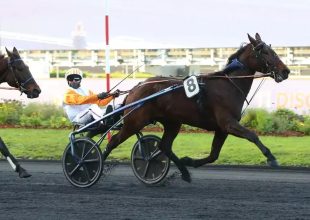 Gitano Jack komoly figyelmet érdemel