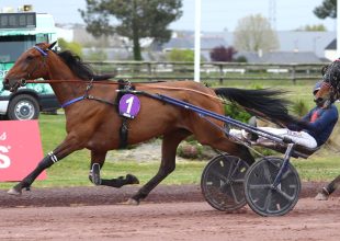 Jolie Star élete formájában van