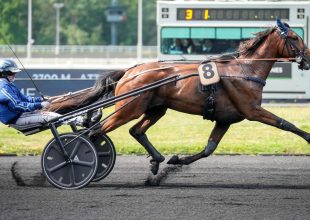 Magic Man fizikailag készen áll és megvan benne a képesség a dobogóhoz