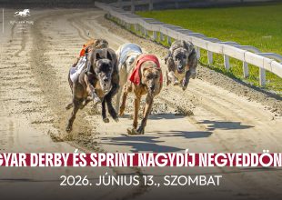 RECORDER DÍJ AZ ÜGETŐN, MAGYAR DERBY ÉS SPRINT NAGYDÍJ NEGYEDDÖNTŐK AZ AGÁRON