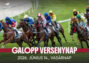 JANEK GÉZA EMLÉKVERSENY A GALOPPON