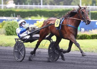 Lovely Wilma stabilan teljesít és remek formában érkezik