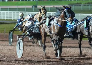 Kincsem+ szakértői tipp: Kik nyerhetnek a pénteki 20:15-ös cabourg-i futamban?