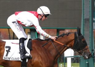 Kincsem+ tipp csütörtökre: Spanish Prince vezetheti a befutót