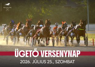500.000 Ft jackpot a szombati ügető és agár versenynapon
