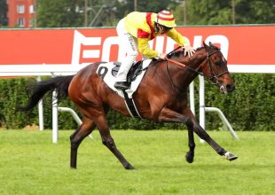 400 millió Ft jackpot a vasárnapi Kincsem+ játékban