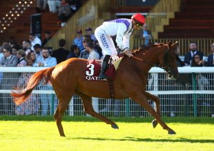 Caramelito, Gerard Ter Borch és Hermes Wood triót favorizáljuk