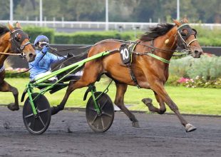 Every Time Winner legutóbbi eredményei meggyőzőek