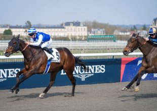Zeloro-t, Seona-t és Saint Aquilin-t favorizáljuk